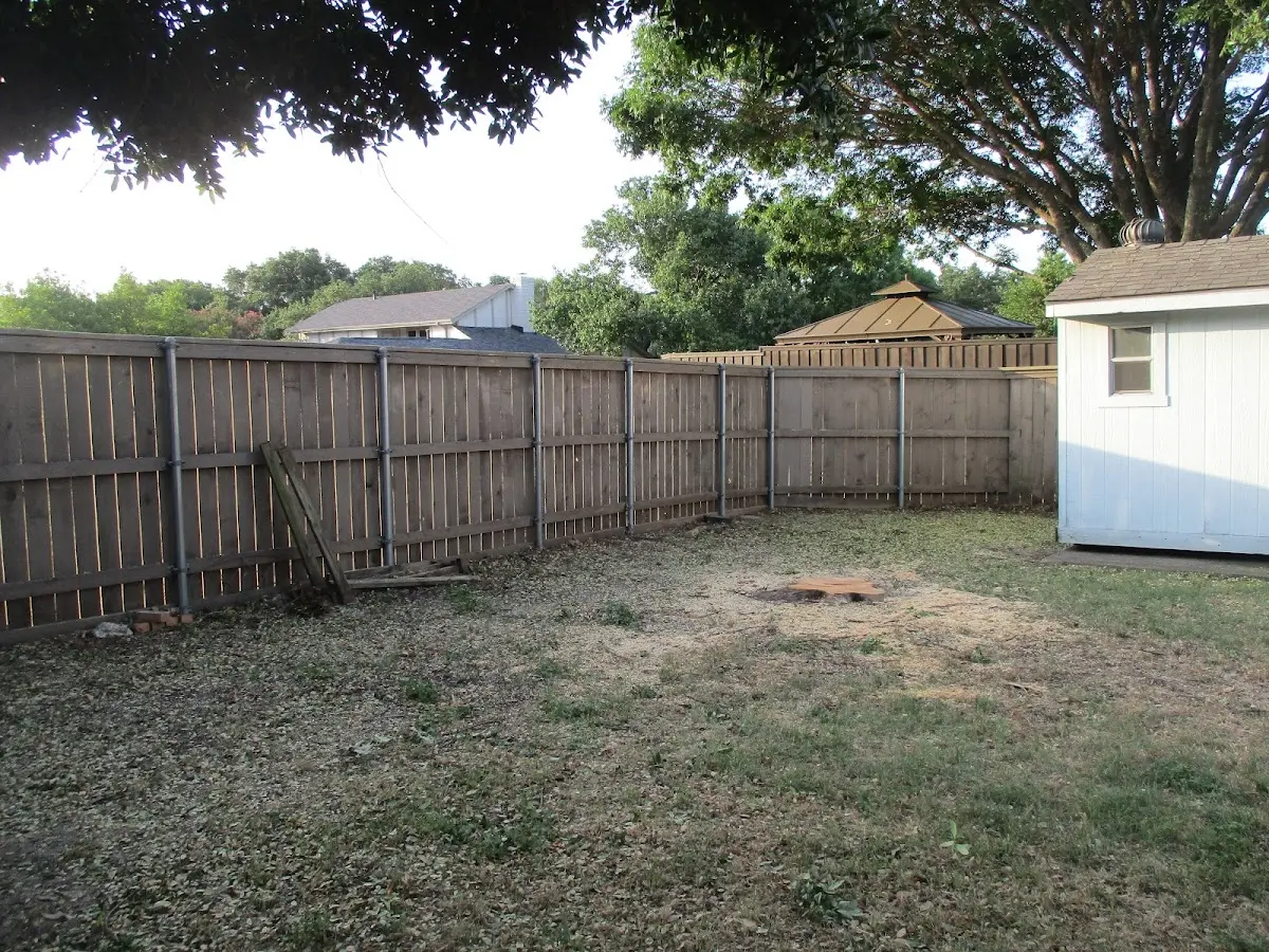 Cleared yard after professional tree removal in Summersville
